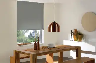 Vinyl Blinds