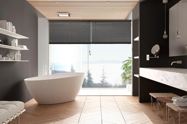 Modern Roller Blinds for Bathroom Windows